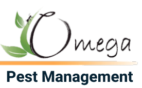 omega logo transparent