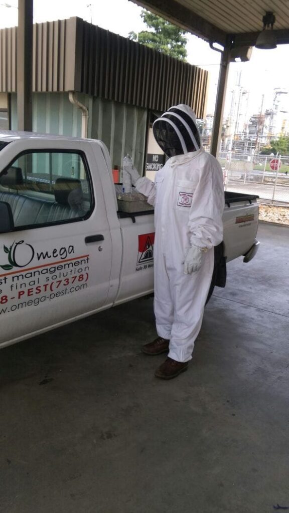 bee control, bee suit, ppe, safety first
